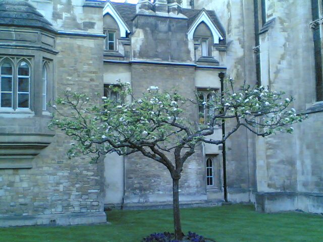 Cambridge 5.jpg
